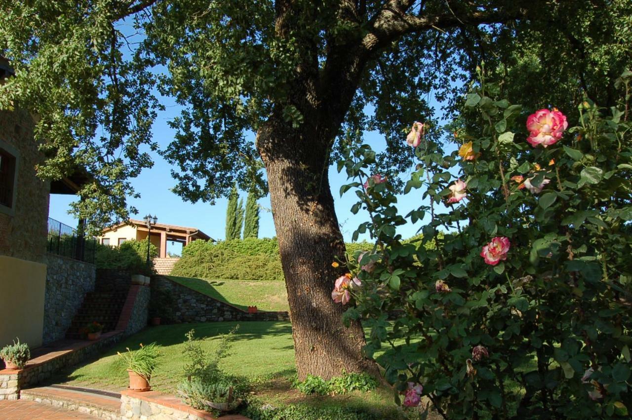 Agriturismo Il Palazzo Pergine Valdarno Екстериор снимка