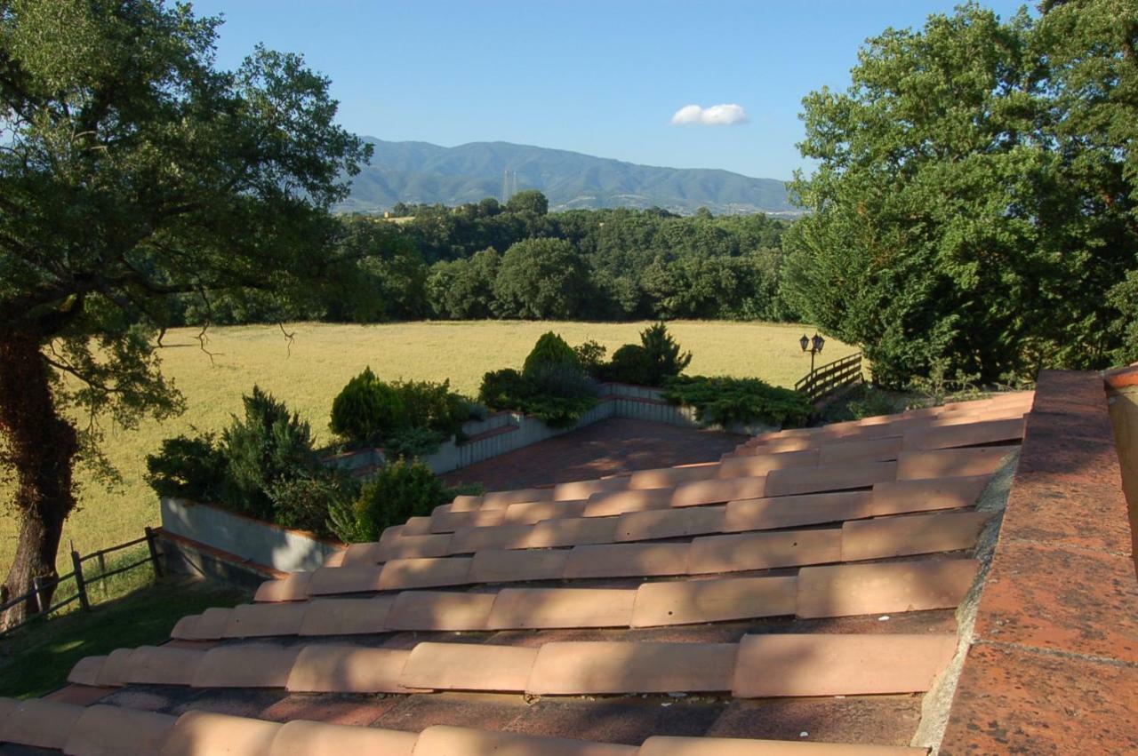 Agriturismo Il Palazzo Pergine Valdarno Екстериор снимка